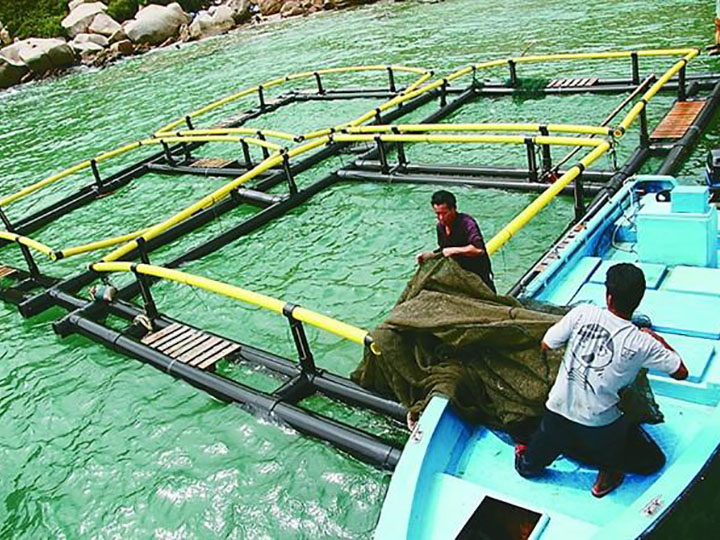 �B(y��ng)ֳ�W(w��ng)��