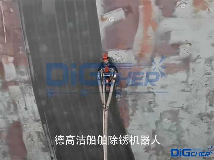 �¸ߝ��������P�C(j��)����